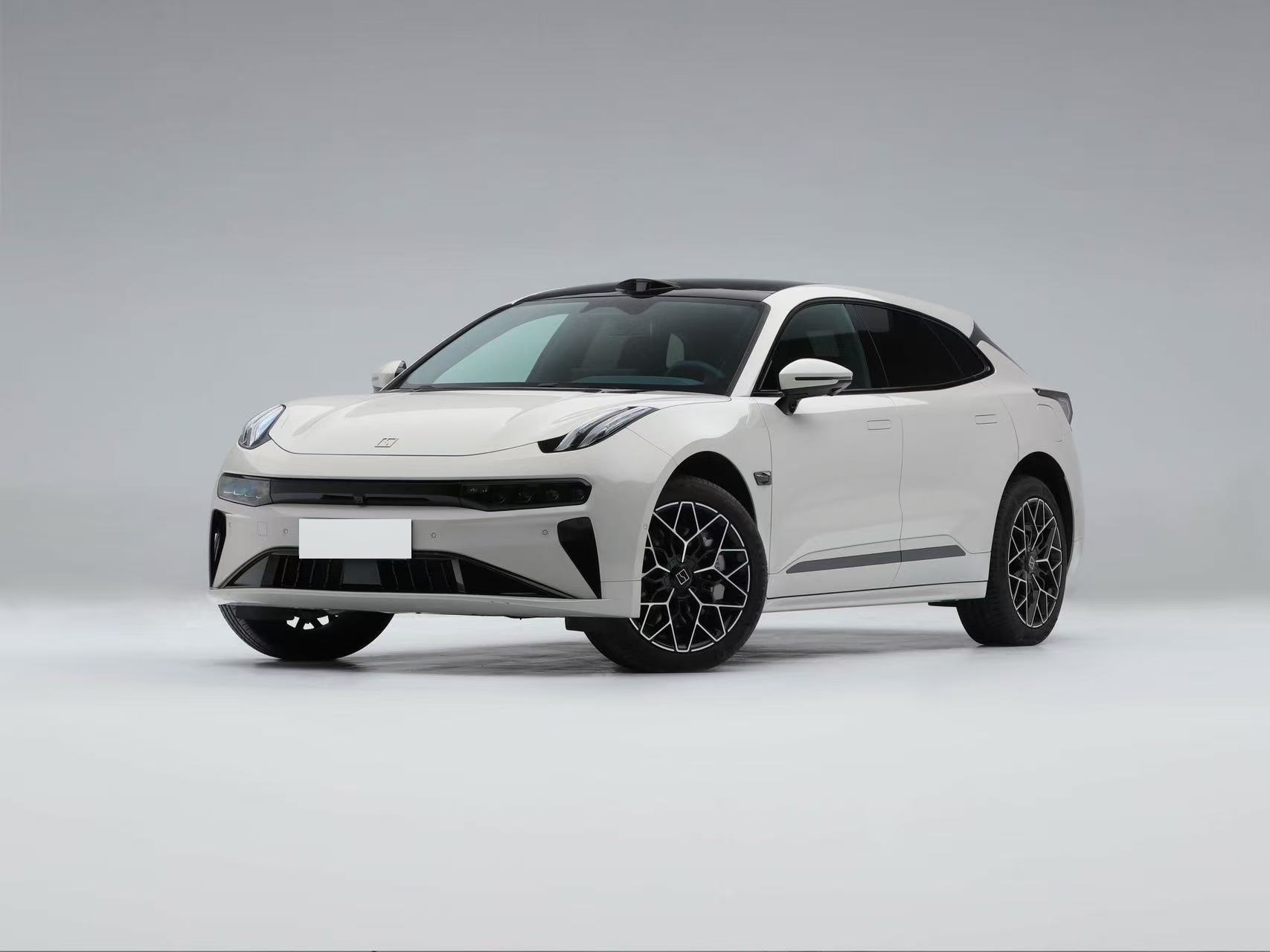 极氪 2025款 YOU版 100kWh 四驱